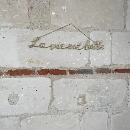 Le Nid Du Rempart Appt 2p Centre