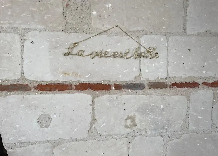 Le Nid Du Rempart Appt 2p Centre