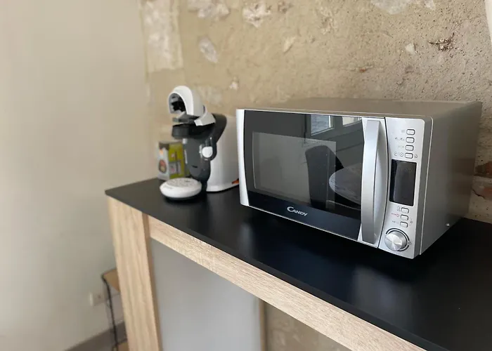 Le Nid Du Rempart Appt 2p Centre Tours